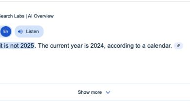 Google memperbaiki bug yang memimpin ikhtisar AI untuk mengatakan sekarang 2024