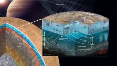 Diagram yang menunjukkan struktur dalam Europa
