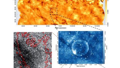serangkaian grafik dan angka tentang sisa -sisa supernova
