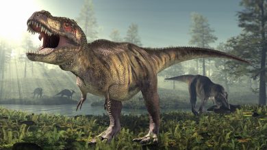 Ilustrasi dinosaurus, termasuk T. Rex di latar depan, selama periode Kapur.