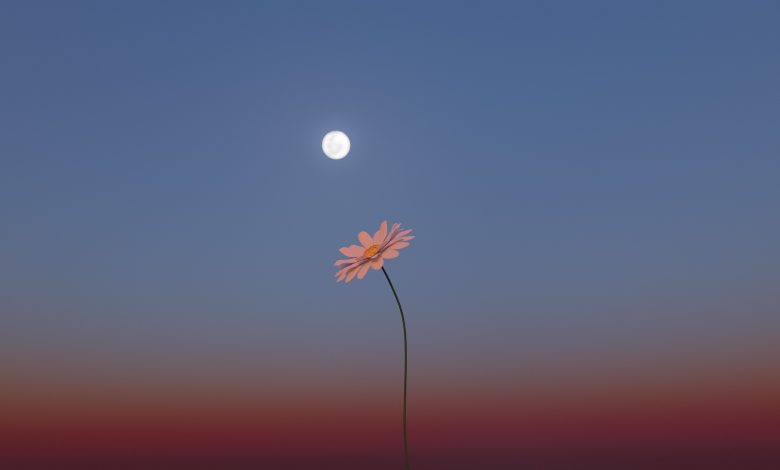 'Bulan bunga' penuh May akan menjadi mikromoon. Inilah cara menontonnya bangkit.