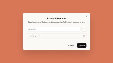 API Pencarian Web Antropik