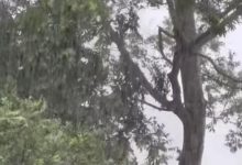 Tornado di luar rumah Billy Ray Cyrus