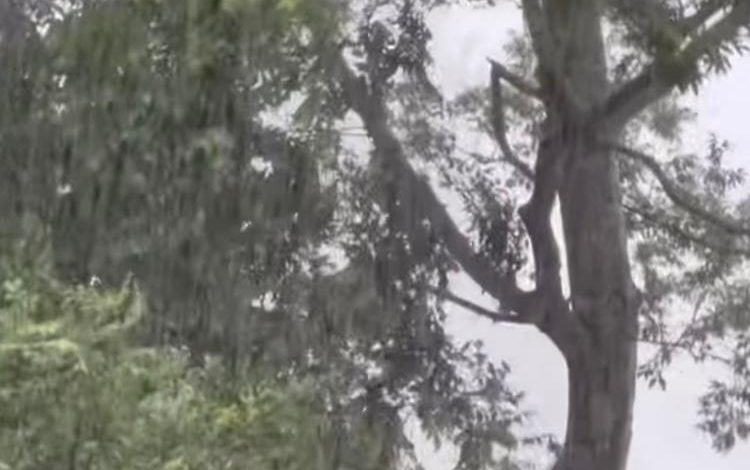 Tornado di luar rumah Billy Ray Cyrus