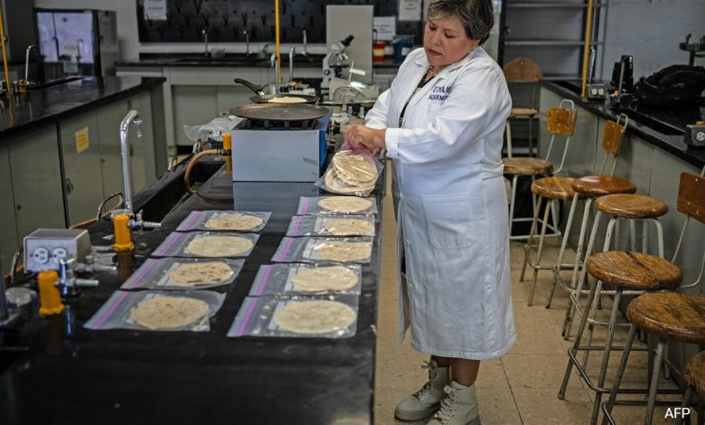 Ilmuwan di Meksiko mengembangkan tortilla untuk orang -orang tanpa lemari es