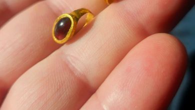 Seseorang memegang dua cincin emas batu permata yang ditemukan di lokasi pemakaman.