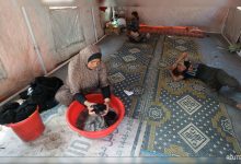 Diary of a Gazan Family's Descent Menuju Kelaparan