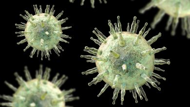 Ilmuwan menemukan kemungkinan hubungan yang hilang antara virus 'mono' dan multiple sclerosis