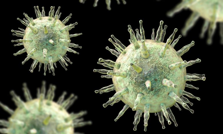 Ilmuwan menemukan kemungkinan hubungan yang hilang antara virus 'mono' dan multiple sclerosis