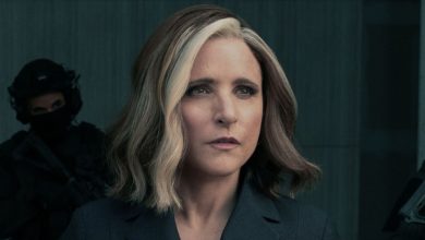 Julia Louis-Dreyfus 'Valentina Allegra de Fontaine Terlihat Serius Di Marvel's Thunderbolts