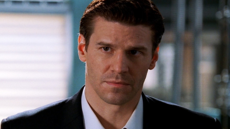 David Boreanaz sebagai Seeley Booth melihat ke seberang bingkai dalam tulang