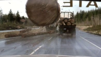 Log jatuh dari truk dan ke wajah Anda di tujuan akhir 2