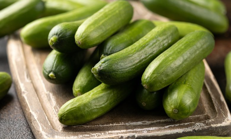 Mentimun diingat setelah multistate Salmonella wabah daun lusinan sakit