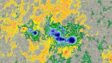 Gambar multicolor dari titik matahari di bawah sinar matahari yang dikelilingi oleh medan magnet yang tidak terlihat