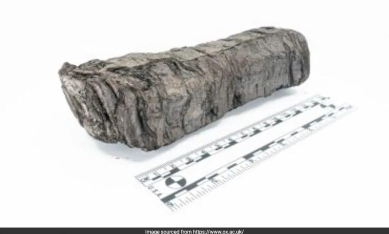 Bagaimana X-Ray Menawarkan Intip di dalam Gulir Herculaneum berusia 2.000 tahun