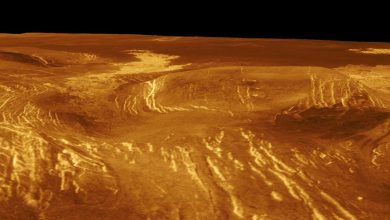 gambar yang disimulasikan komputer dari bentuk berputar oranye di permukaan Venus