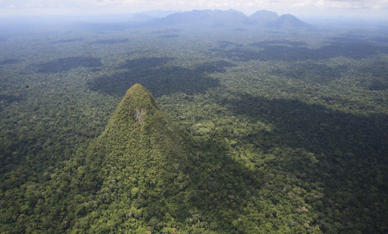 El Cono: 'piramida' suci misterius tersembunyi di dalam hutan hujan Amazon