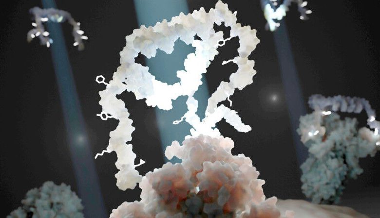 Ilustrasi rakitan supramolekul berbasis DNA multivalen (MED