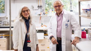 Verònica Noé dan Carles J. Ciudad, S di Fakultas Farmasi UB dan