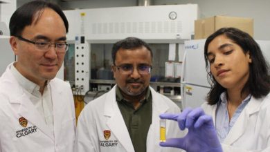 Dari kiri: Seonghwan Kim, Arindam Phani dan kandidat PhD Pegah Zandi Joe McFarl