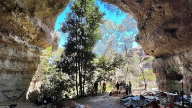 Ditembak dari dalam tempat penampungan Dargan, Blue Mountains