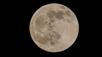 Gambar menunjukkan bulan purnama di malam hari. © Jasper Berndt