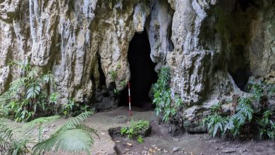 Pintu masuk gua pantai ritidian di mana nasi tertua ditemukan