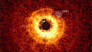Gambar disk di sekitar bintang TWA 7 direkam menggunakan TE ESO yang sangat besar