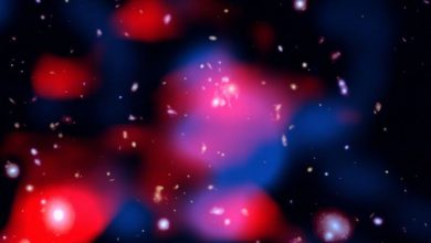 Gambar yang menakjubkan ini mengungkapkan gugus galaksi yang jauh penuh dengan energi: Galaxi