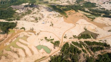 pemandangan udara tambang emas di Peru dengan tanah kering dan kolam kecil