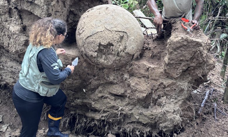 Dua orang menggali guci pemakaman besar di hutan hujan