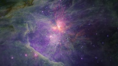 Objek 'Rogue' misterius yang ditemukan oleh James Webb Telescope mungkin tidak benar -benar ada, simulasi baru mengisyaratkan
