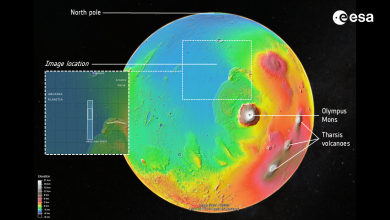 Simulasi global Mars menunjukkan Arcadia Planitia.