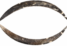 Boomerang Mammoth Tusk yang berusia 40.000 tahun adalah yang tertua di Eropa-dan mungkin dunia