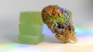 Gulma mungkin buruk bagi hati Anda, apakah Anda merokok atau mengonsumsi edibles