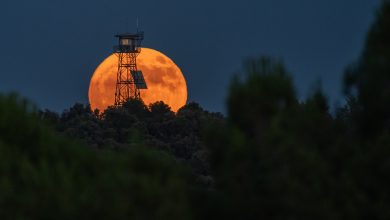 'Strawberry Moon' 2025: bulan purnama Juni akan memecahkan rekor tahunan