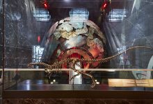 Foto rekonstruksi penuh dari jurassic dinosaurus enigmacursor Mollyborthwickae yang dipajang di Museum Sejarah Alam di London.