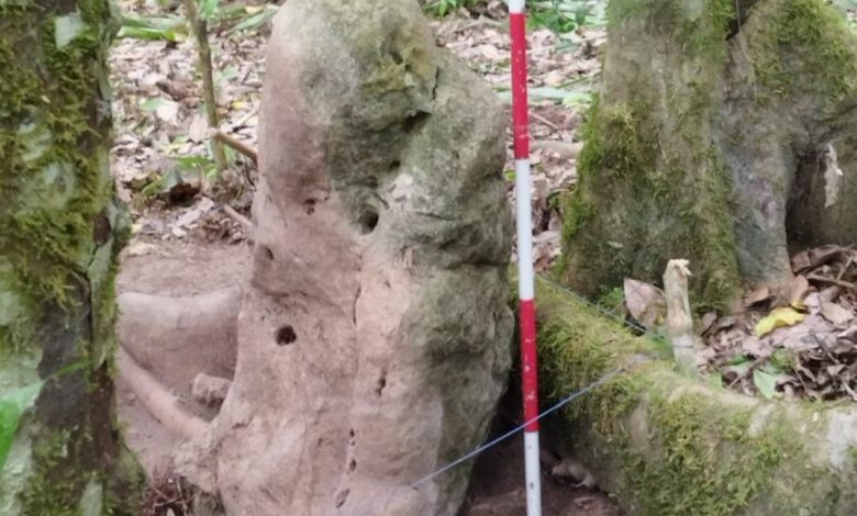 patung batu lapuk di hutan