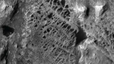 Gambar satelit hitam dan putih dari fitur permukaan seperti spiderweb di Mars