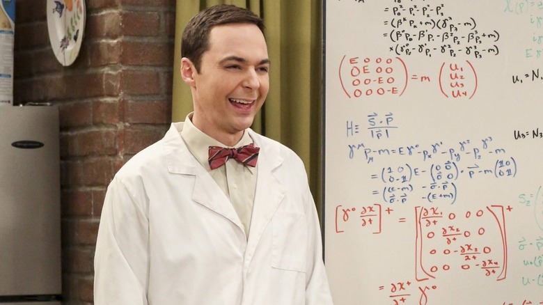 Sheldon di mantel lab berdiri di sebelah papan tulis yang ditutupi persamaan pada Teori Big Bang