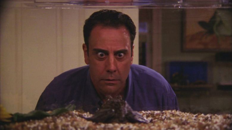 Robert menatap katak pada Everybody Loves Raymond
