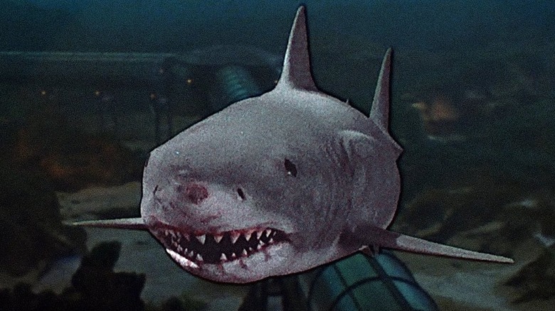 Hiu putih besar berenang ke arah kamera di Jaws 3D