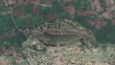 Foto satelit bukit yang ditutupi hijau dan pohon