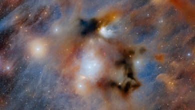 Cloud Dark Chamaeleon I yang tidak menyenangkan, daerah pembentuk bintang terdekat, ditangkap dalam gambar ini yang diambil dengan Departemen Kamera Energi Dark Fabricated 570-megapiksel yang dipasang di Yayasan Sains Nasional AS Víctor M. Blanco Teleskop 4-meter di Cerro Tololo Inter-American Observatory, program NSF NOSF.